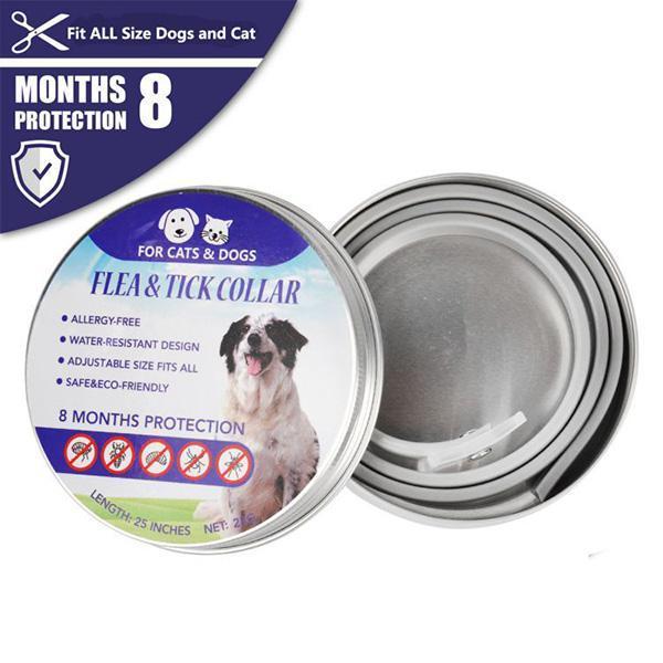 Haustierfloh und Zeckenkragen für Hunde und Katzen