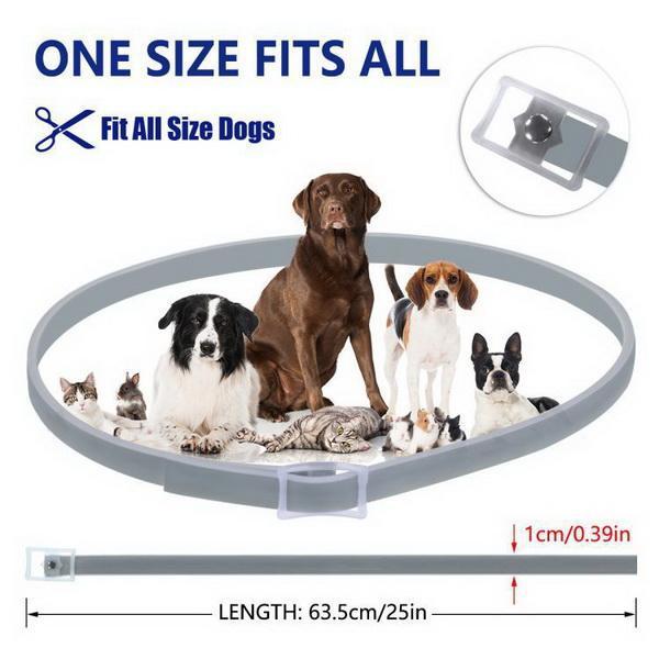 Haustierfloh und Zeckenkragen für Hunde und Katzen