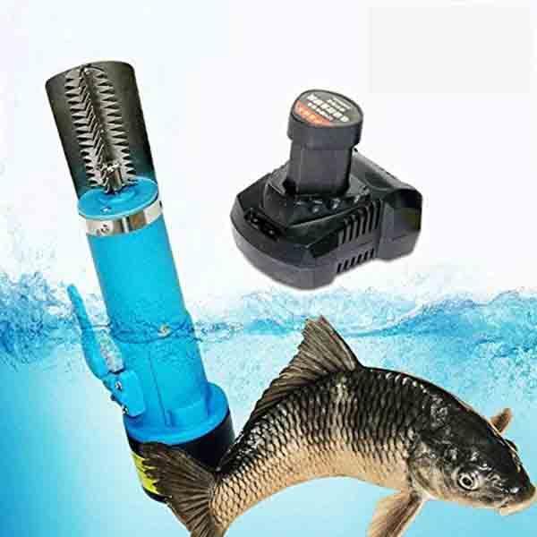 Elektrischer Fischhautskaler