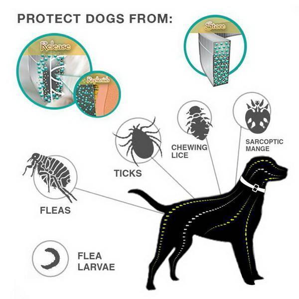 Haustierfloh und Zeckenkragen für Hunde und Katzen