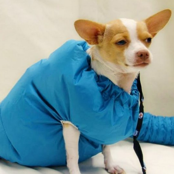 Hunde Trocknerbeutel