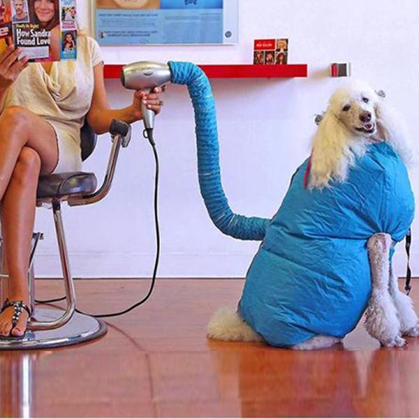 Hunde Trocknerbeutel