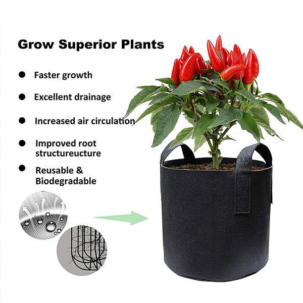 Grow Bags ( 3PCS )