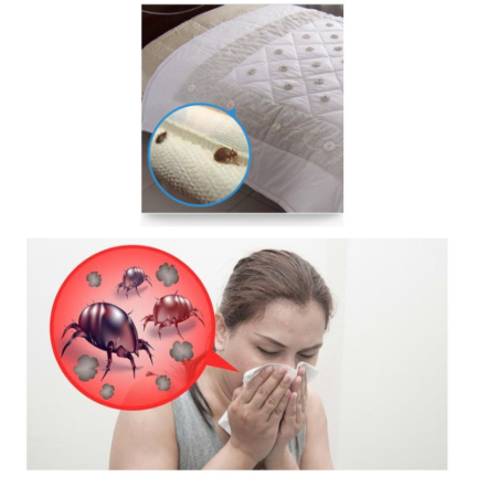 Super Dust Mite Killing Pad